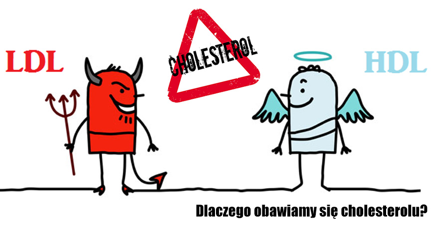 Dlaczego obawiamy si cholesterolu?